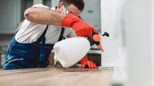 Best Pest Prevention Services  in Hollidaysburg, PA